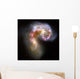 Antennae Galaxies Wall Decal