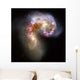 Antennae Galaxies Wall Decal