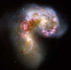 Antennae Galaxies Wall Decal