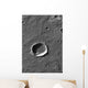 Crater Mars Wall Decal