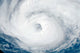 Hurricane Gordon Wall Decal Design 4