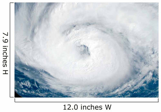 Hurricane Gordon Wall Decal Design 4
