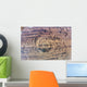 Impact Asteroid or Comet Wall Decal