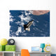 Space Shuttle Atlantis Wall Decal Design 4