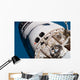 Space Shuttle Atlantis Wall Decal Design 5