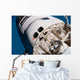 Space Shuttle Atlantis Wall Decal Design 5