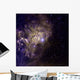 False-color Image Star Ae Wall Decal