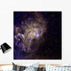 False-color Image Star Ae Wall Decal