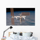 International Space Station Wall Decal Design 13