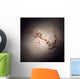 Elliptical Galaxy Ngc 1316 Wall Decal