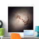 Elliptical Galaxy Ngc 1316 Wall Decal