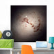 Elliptical Galaxy Ngc 1316 Wall Decal