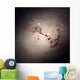 Elliptical Galaxy Ngc 1316 Wall Decal
