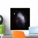 Irregular Galaxy Ngc 1427a Wall Decal