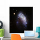 Irregular Galaxy Ngc 1427a Wall Decal