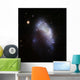 Irregular Galaxy Ngc 1427a Wall Decal
