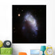 Irregular Galaxy Ngc 1427a Wall Decal