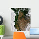 Pacific Northwest Region United Wall Decal