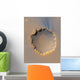 Victoria Crater Mars Wall Decal