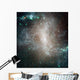 Central Region Barred Spiral Wall Decal