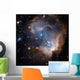 Newly Formed Stars Center Wall Decal