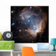 Newly Formed Stars Center Wall Decal
