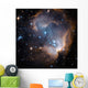 Newly Formed Stars Center Wall Decal