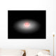 Planetary Debris Encircling Star Wall Decal