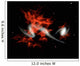 Giant Galactic Blobs Wall Decal