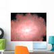 Concept What Dusty and Wall Decal