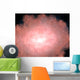 Concept What Dusty and Wall Decal