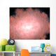Concept What Dusty and Wall Decal