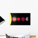 Artist's Rendition Comparing Brown Wall Decal Design 1