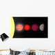 Artist's Rendition Comparing Brown Wall Decal Design 1