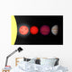 Artist's Rendition Comparing Brown Wall Decal Design 1