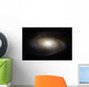 Spiral Galaxy M81 Wall Decal