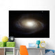 Spiral Galaxy M81 Wall Decal