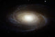 Spiral Galaxy M81 Wall Decal