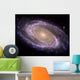 Spiral Galaxy Messier 81 Wall Decal