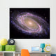 Spiral Galaxy Messier 81 Wall Decal