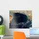Wave Clouds over Arabian Wall Decal