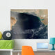 Wave Clouds over Arabian Wall Decal