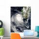 Tropical Cyclone Favio off Wall Decal