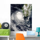 Tropical Cyclone Favio off Wall Decal