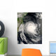 Tropical Cyclone Favio Approaching Wall Decal