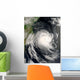 Tropical Cyclone Favio Approaching Wall Decal