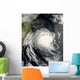 Tropical Cyclone Favio Approaching Wall Decal