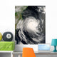 Tropical Cyclone Favio Approaching Wall Decal