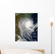 Tropical Cyclone Favio over Wall Decal