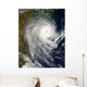 Tropical Cyclone Favio over Wall Decal